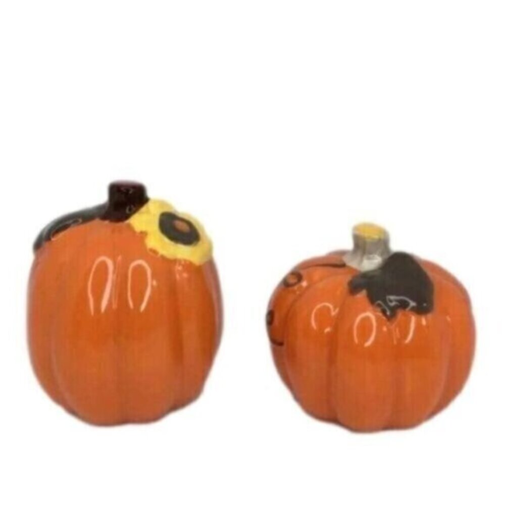 Fall Pumpkin Salt & Pepper Shaker Set